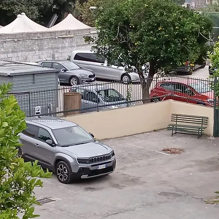 Fly 3*